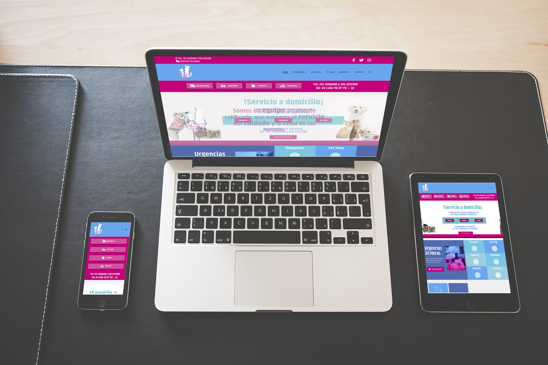 slider-paginas-web4
